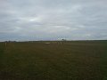 DSC00035