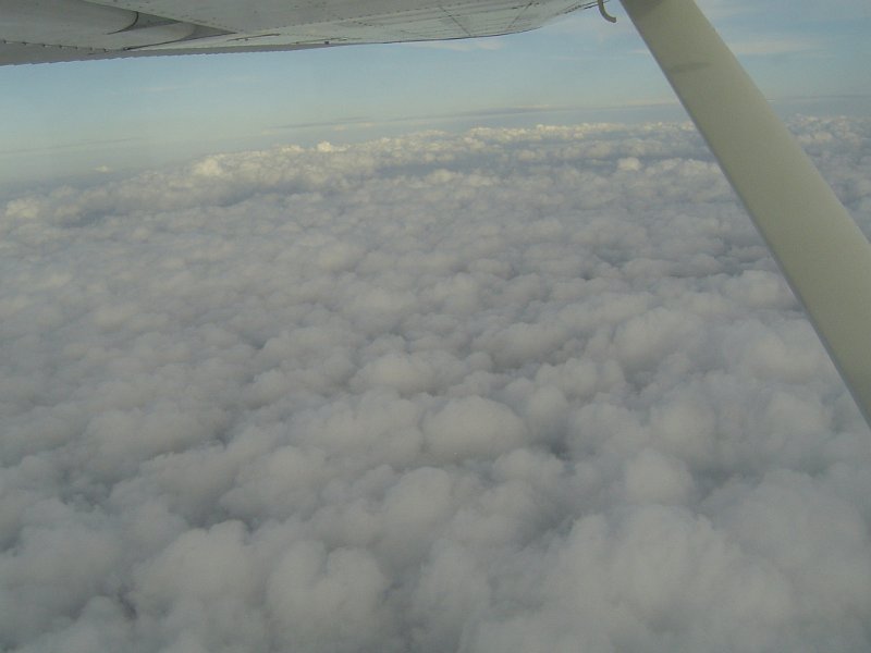 DSC07121.JPG