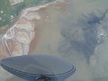 DSC06945