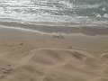 DSC07192