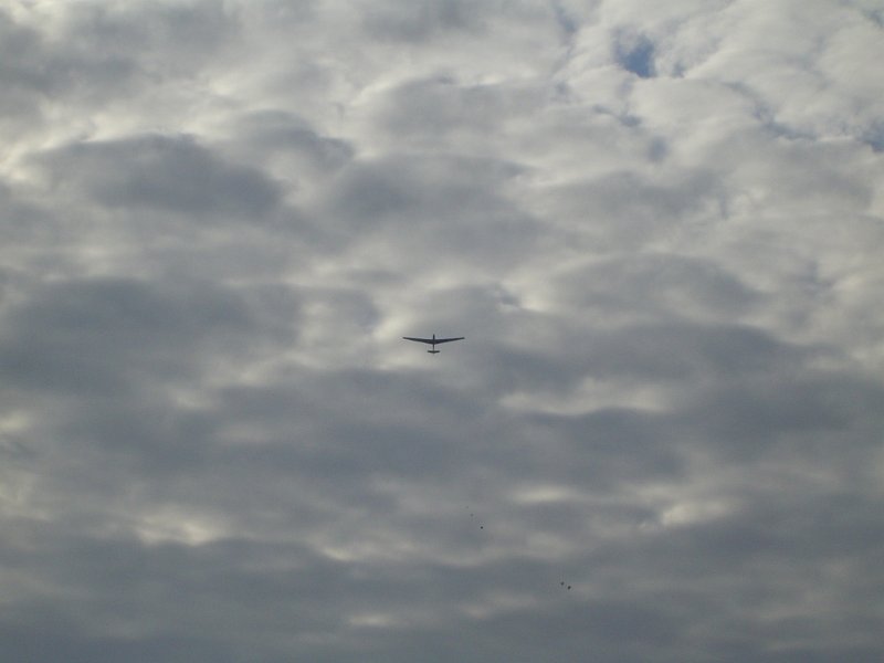 dsc01153.jpg