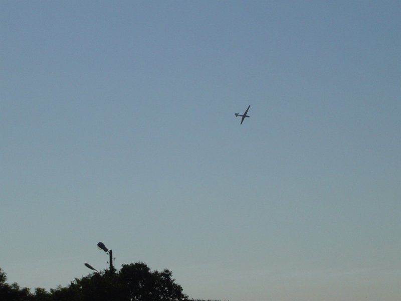 dsc01308.jpg
