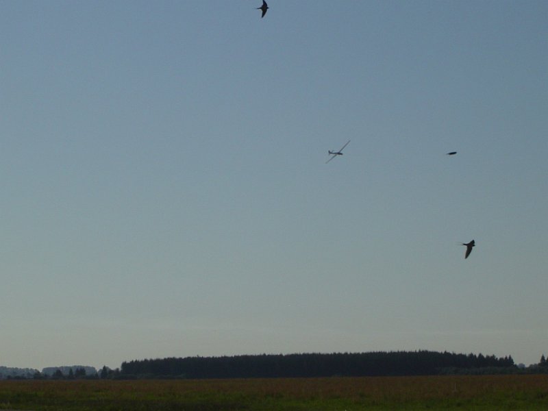 dsc01309.jpg