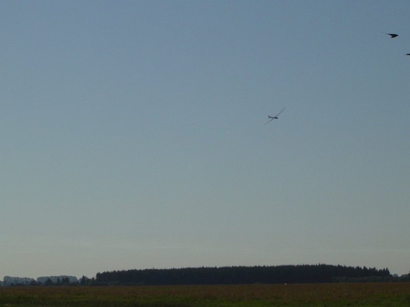 dsc01310.jpg
