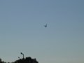 dsc01307