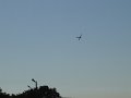 dsc01308