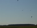 dsc01309
