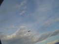 DSC07636