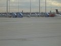 DSC07646