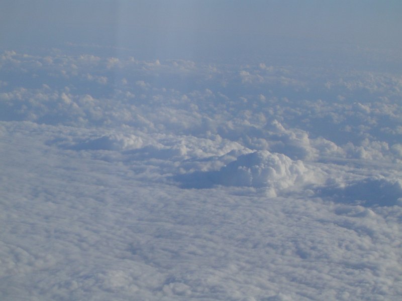 DSC07660.JPG